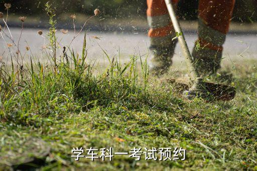 駕校科一考試怎么預(yù)約，考駕照科目一如何預(yù)約...